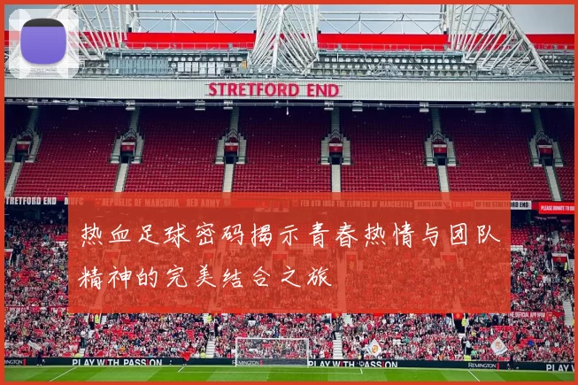 热血足球密码揭示青春热情与团队精神的完美结合之旅