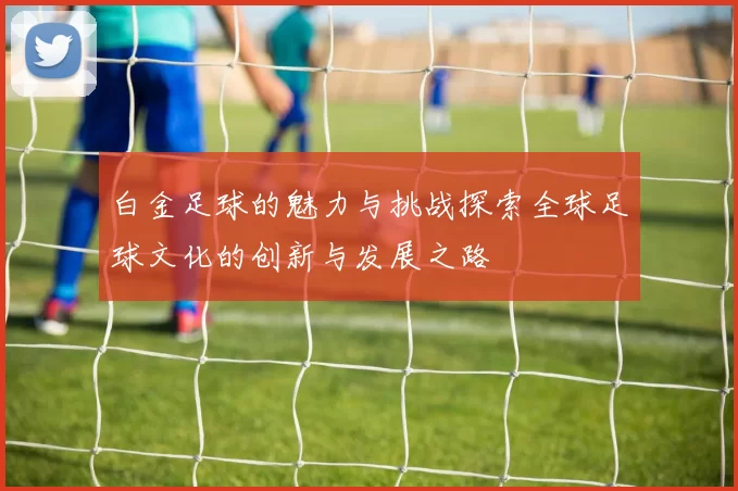 白金足球的魅力与挑战探索全球足球文化的创新与发展之路