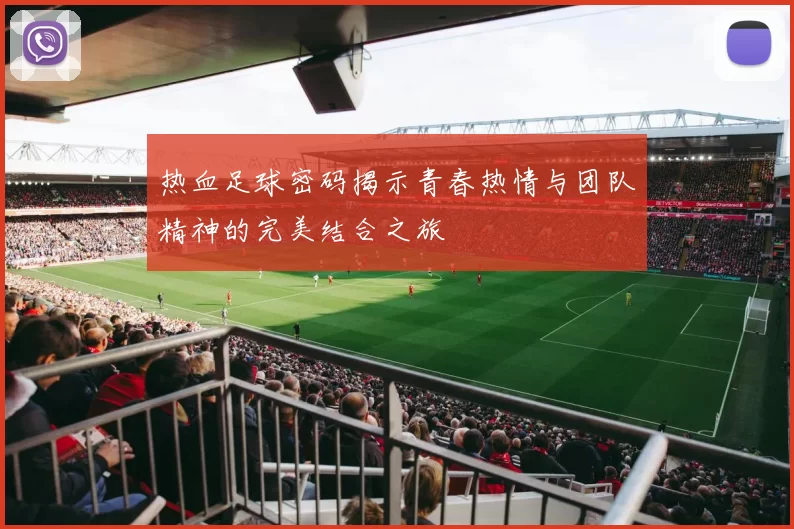 热血足球密码揭示青春热情与团队精神的完美结合之旅